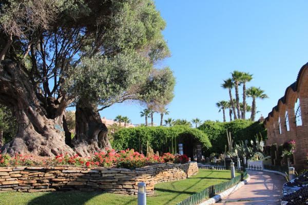 7 чудес Кастельона. Провинция маленьких сокровищ (ФОТО)