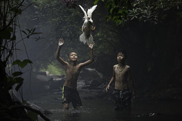 10 впечатляющих фото с конкурса National Geographic 2015 (ФОТО)