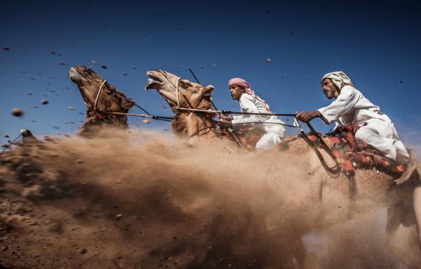 10 впечатляющих фото с конкурса National Geographic 2015 (ФОТО)