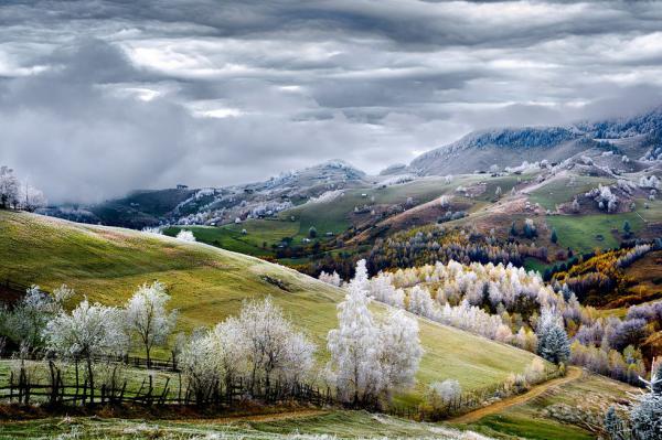 10 впечатляющих фото с конкурса National Geographic 2015 (ФОТО)