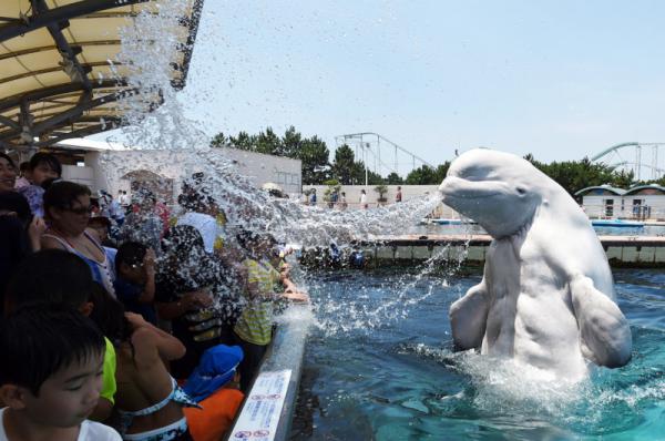 Когда мастерство фотографа не вызывает сомнений (ФОТО)