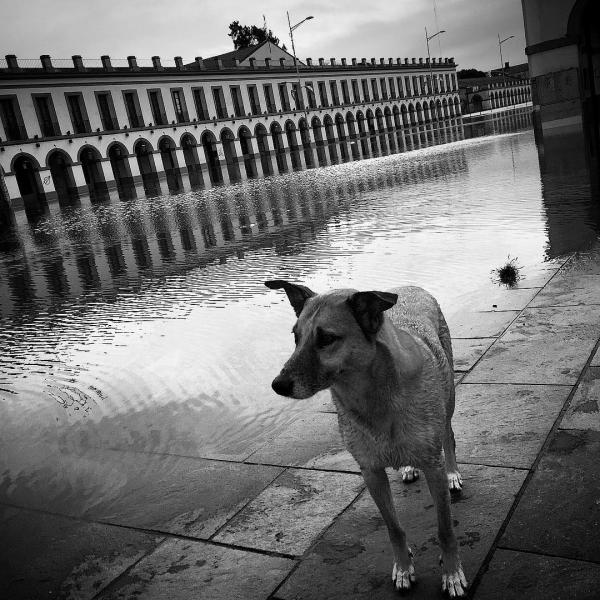 Стихийное бедствие: последствия ливней в Аргентине (ФОТО)