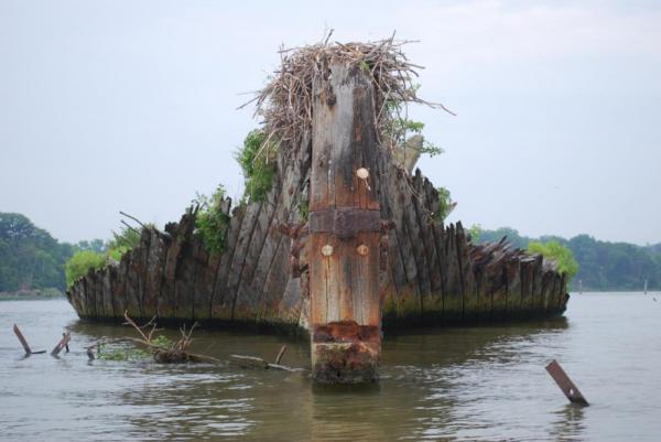 ТОП-10 кораблей-призраков (ФОТО)