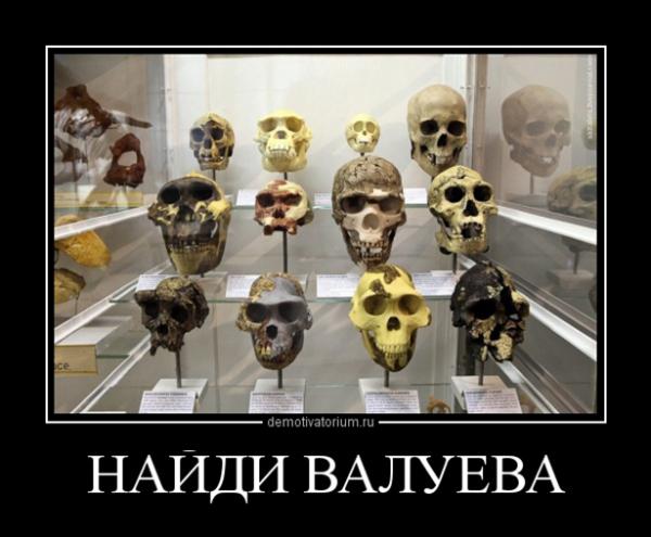 Необычный подарок. Фотожабы для Валуева (ФОТО)