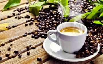 Оливковый кофе – средство для борьбы с лишним весом