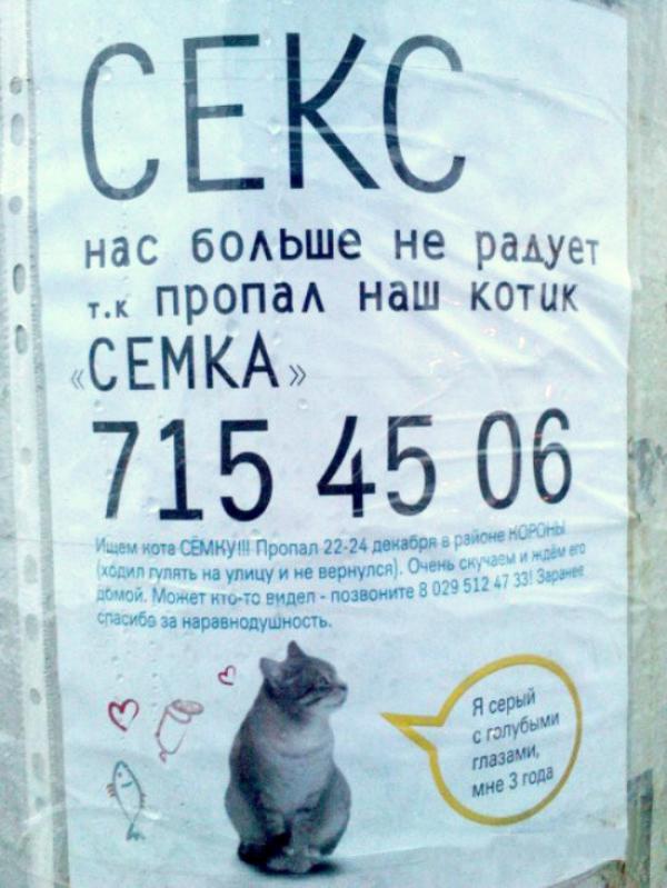 Нарочно не придумаешь. Подборка забавных объявлений (ФОТО)