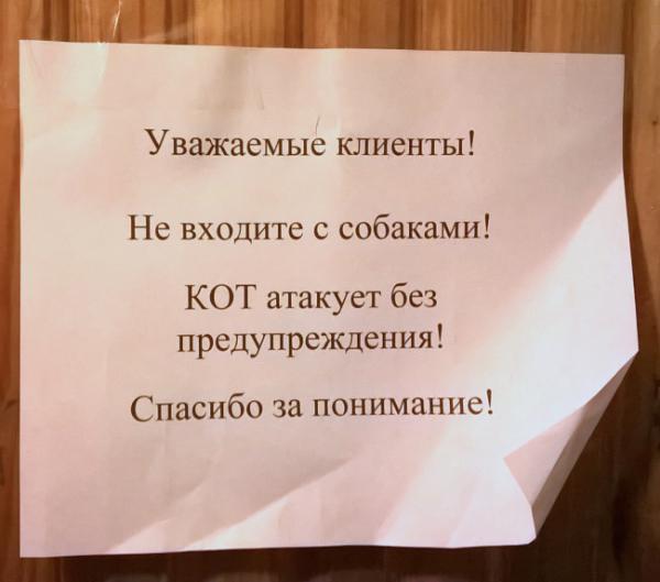 Нарочно не придумаешь. Подборка забавных объявлений (ФОТО)