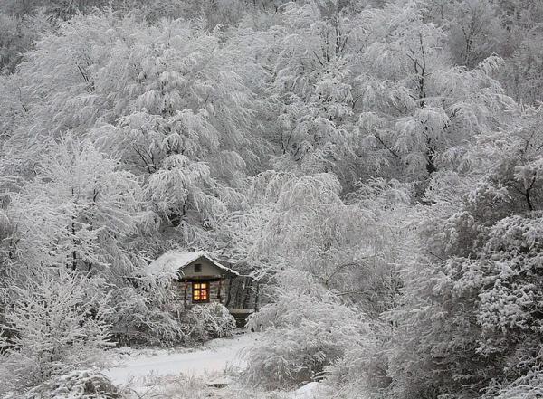 В поисках уединения. Самые оригинальные и необычные дома отшельников (ФОТО)