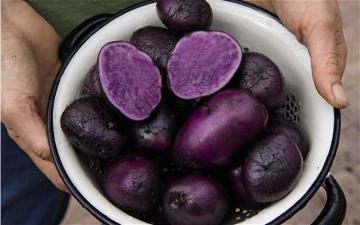 Фиолетовый картофель - убийца рака