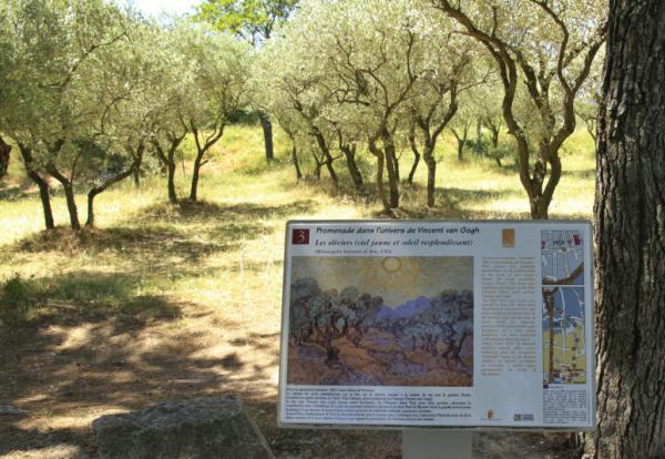 Saint Paul de Mausole – самое жуткое место Прованса (ФОТО)
