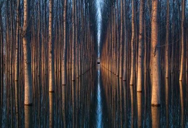 Потрясающая красота зеркальных пейзажей (ФОТО)