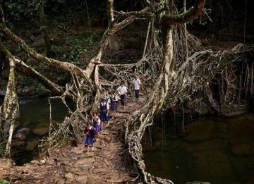 Деревушка Маусинрам – самое влажное место на планете Земля (ФОТО)