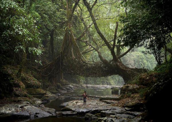  Деревушка Маусинрам – самое влажное место на планете Земля (ФОТО)