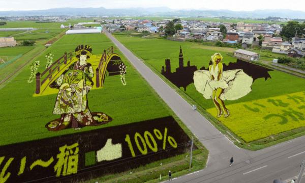 Креатив по-японски. Рисунки на рисовых полях (ФОТО)