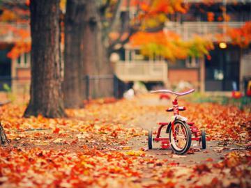 20 доказательств того, что осень – самая красивая пора! (ФОТО)
