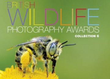 В Британии завершился конкурс на лучшее фото дикой природы (ФОТО)