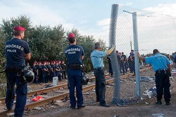 Венгерские солдаты строят стену на границе с Хорватией