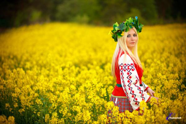 Рапсовое масло: польза и вред