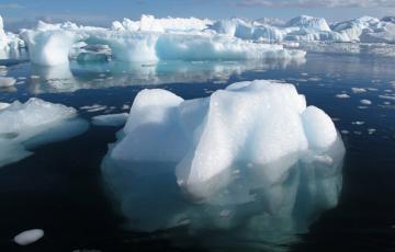 Ученые назвали сумму ущерба от таяния ледников