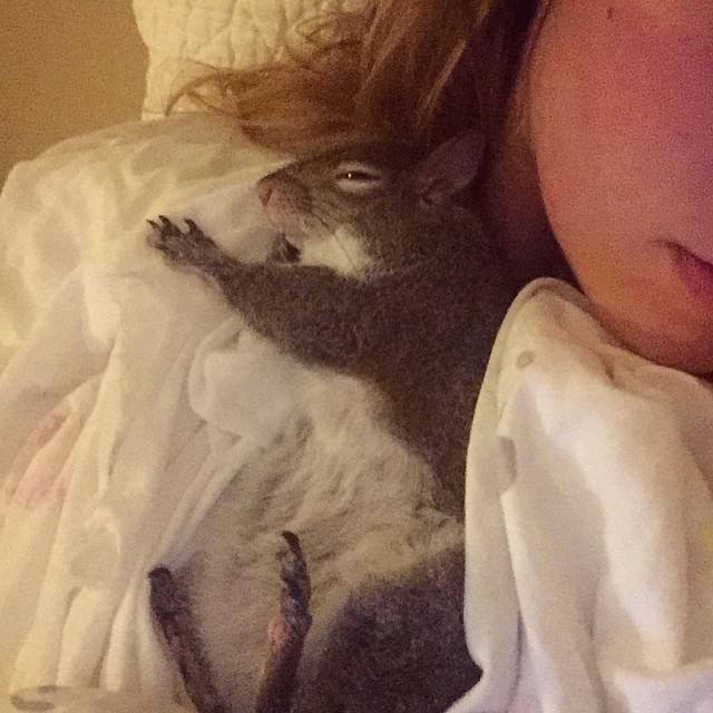 Белка по имени Джилл стала звездой Instagram (ФОТО)