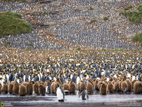 Лучшие фотографии сентября по версии National Geographic (ФОТО) 