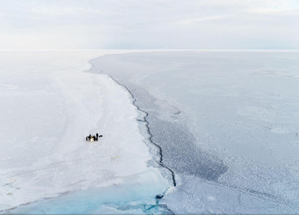 Лучшие фотографии сентября по версии National Geographic (ФОТО) 