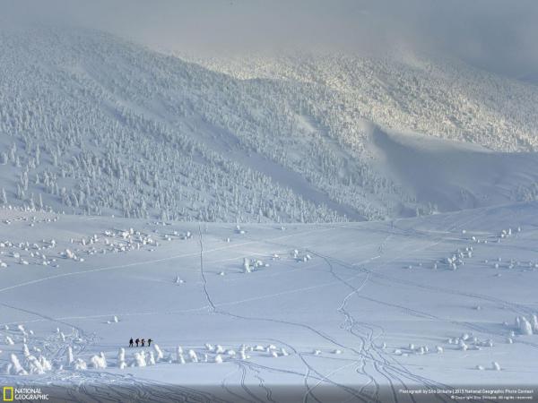 Лучшие фотографии сентября по версии National Geographic (ФОТО) 