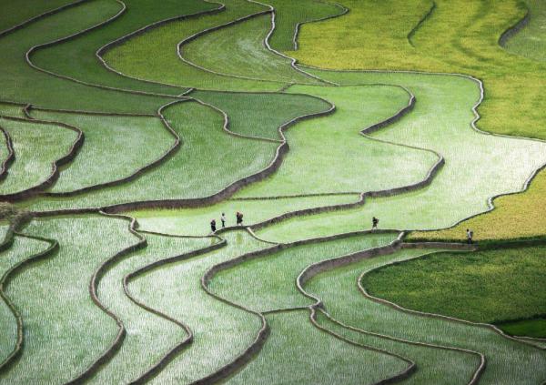Лучшие фотографии сентября по версии National Geographic (ФОТО) 