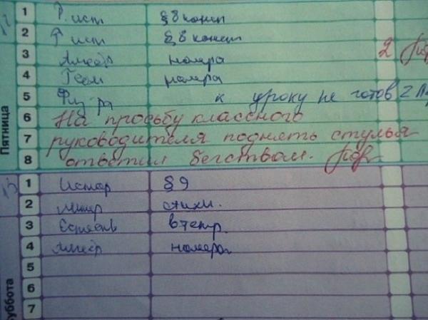 Самые невероятные записи в школьных дневниках (ФОТО)