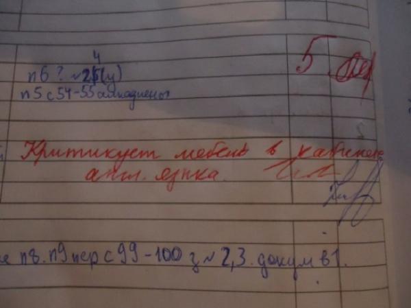 Самые невероятные записи в школьных дневниках (ФОТО)