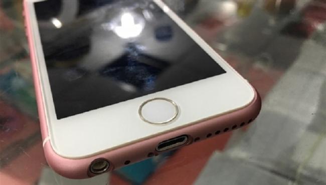 В Сети появились первые снимки «бюджетного» iPhone (ФОТО)