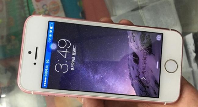 В Сети появились первые снимки «бюджетного» iPhone (ФОТО)