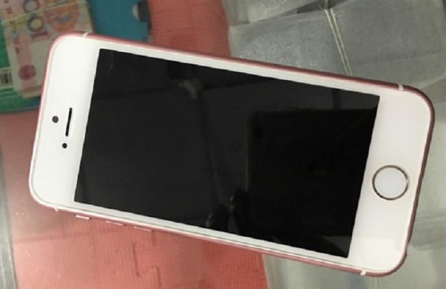 В Сети появились первые снимки «бюджетного» iPhone (ФОТО)