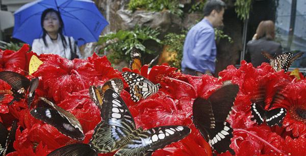 Аэропорт Сингапура сделает ожидание рейса незабываемым (ВИДЕО)