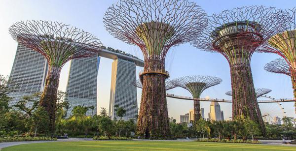 Аэропорт Сингапура сделает ожидание рейса незабываемым (ВИДЕО)