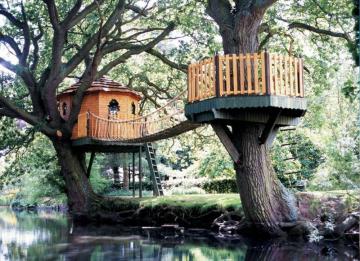 Лучший в мире домик на дереве (ФОТО) 