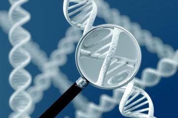 Обнаружен новый ген, связанный с болезнью Паркинсона
