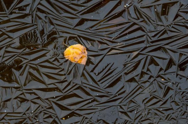 Удивительные снимки, на которых нет фотошопа (ФОТО)