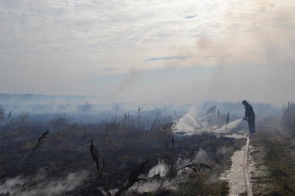 На Киевщине  горит 15,06 га торфяников (ФОТО)