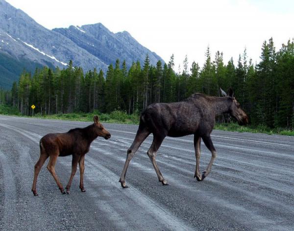 10 людей, которым не слишком повезло с профессией (ФОТО)