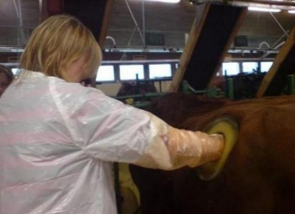 10 людей, которым не слишком повезло с профессией (ФОТО)