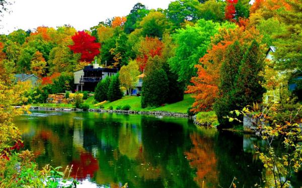 30 домов, построенных людьми, которые очень любят природу (ФОТО)