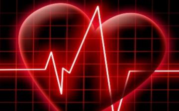 Мировые кардиологи делают ставки на стволовые клетки