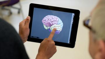 Компания Apple поможет исследовать меланому, эпилепсию и аутизм
