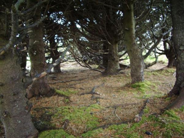 Самый маленький Национальный парк в США (ФОТО)