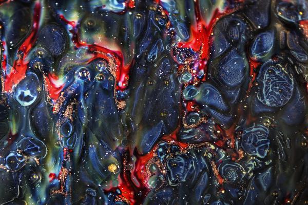 Самые впечатляющие работы конкурса Nikon по микрофотографии (ФОТО)