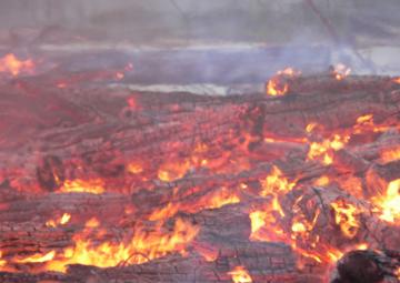 ГСЧС: главная причина возгораний торфяников на Киевщине – аномальные климатические условия 
