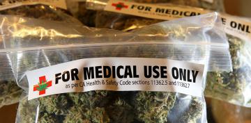 Хорватия легализовала применение медицинской марихуаны