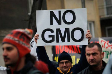 16 стран ЕС выступили против ГМО продуктов