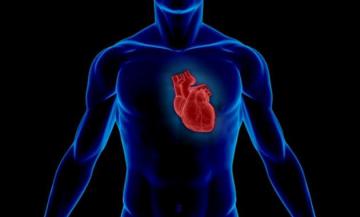 Основные причины болезней сердца